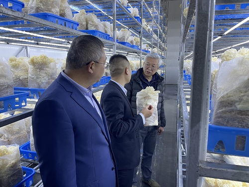 趙衛深入商洛開展企業管理咨詢調研，助力區域經濟發展